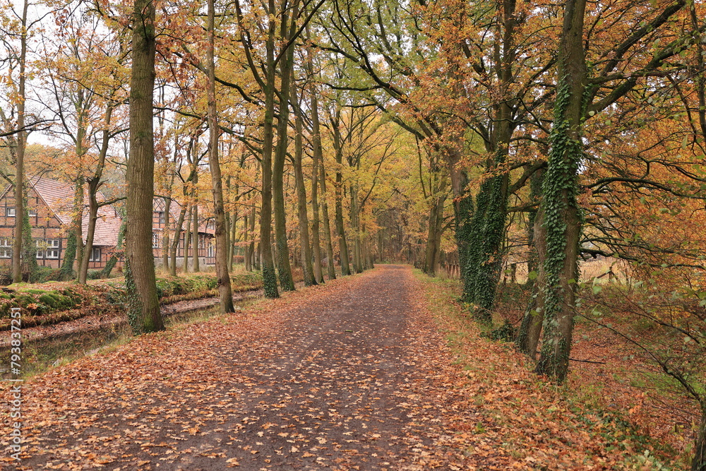 Kloster Dinklage im Herbst