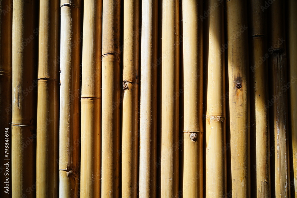 Obraz premium bamboo wall background