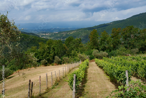 Mountain landscape near Fivizzano, Tuscany, Italy