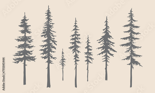 Narrow Pine Tree Silhouettes: Hand-Drawn Vector Illustrations with Intricate Detail.