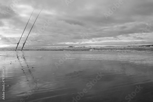 Still life on the beach