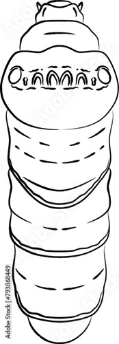 筆書き昆虫単品アイコン　芋虫