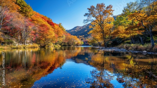  A serene valley in early autumn with trees