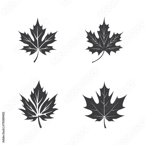 Autumn leaves set  vector illustration  black icon on white background 