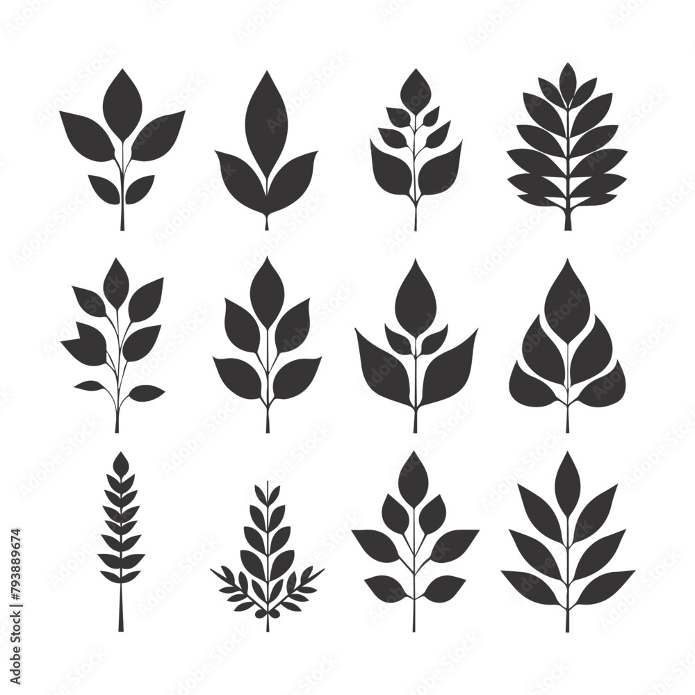 Autumn leaves set, vector illustration, black icon on white background Autumn leaves set, vector illustration, black icon on white background