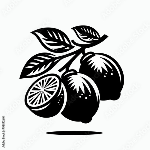 Limes fruit silhouette vector illustration White Background