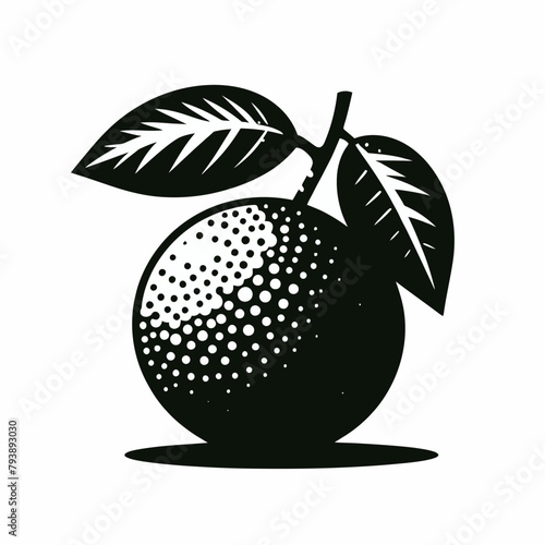 Limes fruit silhouette vector illustration White Background