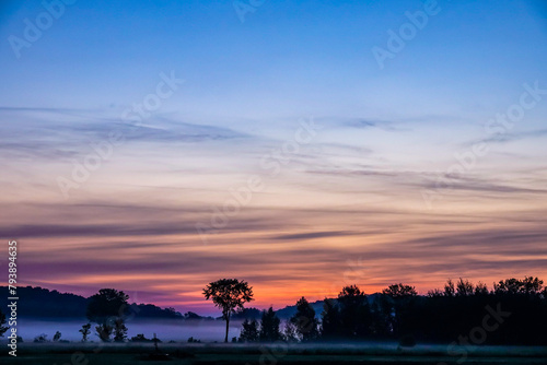 Morning Mist Dampens the Ground at Daybreak in Rural Oro-Medonte
