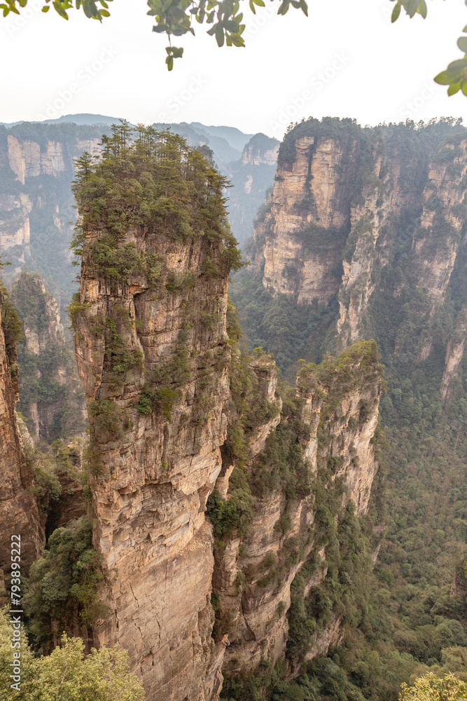 Naklejka premium Zhangjiajie National Forest Park (or Avatar park). Wulingyuan, Hunan province, China