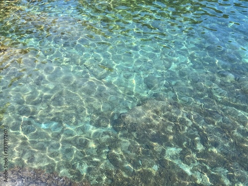 Beautiful sea transparent clear water with seaweed at the bottom. 