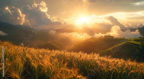 The golden light shines from behind the clouds onto green terraces of wheat ears. Generative AI.