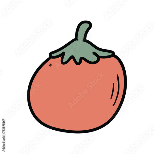Hand drawn doodle tomato on white background.