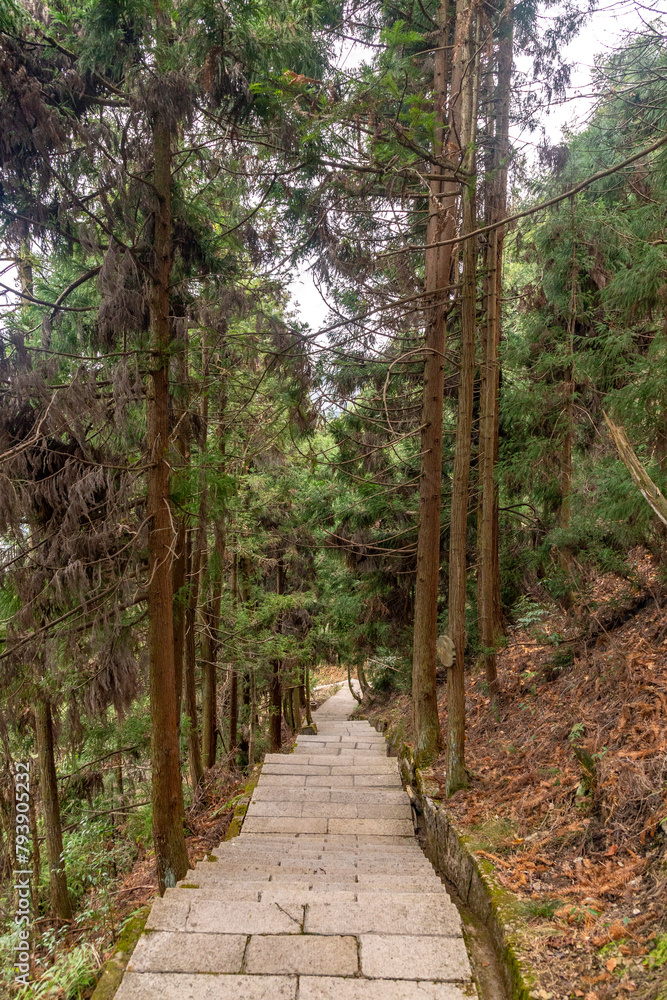 Zhangjiajie National Forest Park (or Avatar park). Wulingyuan, Hunan province, China Zhangjiajie National Forest Park (or Avatar park). Wulingyuan, Hunan province, China