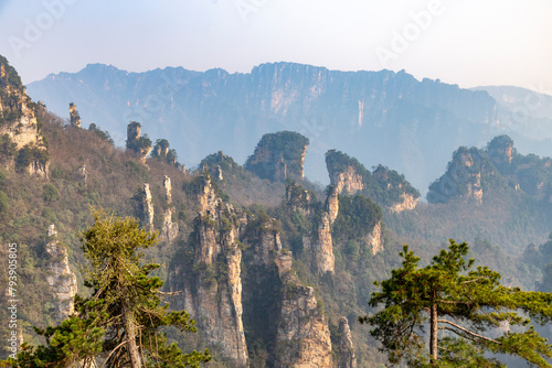 Zhangjiajie National Forest Park  or Avatar park . Wulingyuan  Hunan province  China