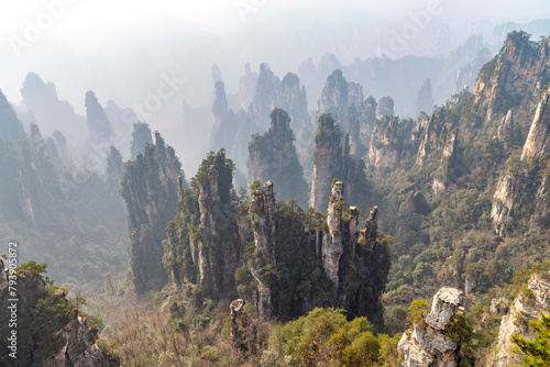 Billede på lærred Zhangjiajie National Forest Park (or Avatar park)