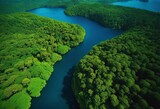 illustration, aerial perspective captures seamless transition dense lush forest deep blue sea, Aerial, Perspective, Captures, Seamless, Transition