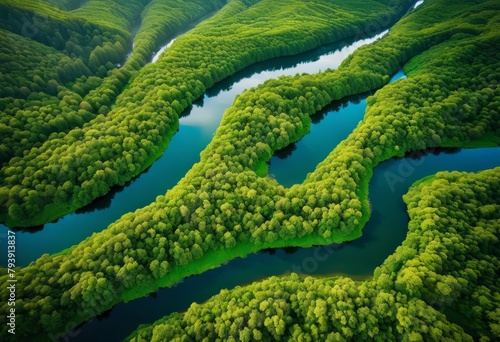 illustration, aerial view captured lush meandering river through mountains distance, Aerial, View, Scenic, Overhead, Lush, Greenery, Luxuriant, Nature © Yaraslava