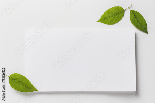 Botanical Delight: A Refreshing Composition of Green Leaves on a White Paper, Creating a Natural and Organic Pattern for Artistic and Decorative Purposes photo