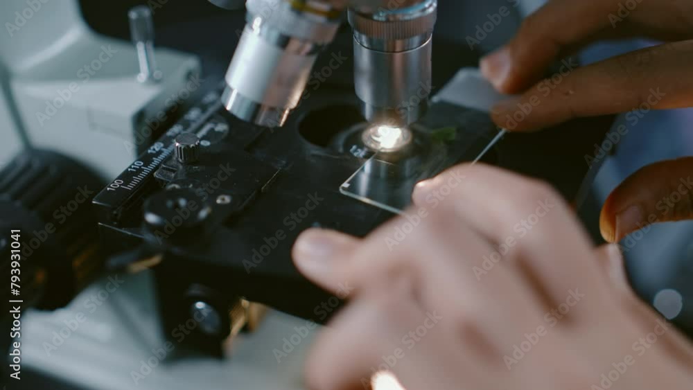 Extreme close-up shot of hands of anonymous female biochemist placing glass with green seedling under microscope for examination in laboratory, fixing then adjusting focus Extreme close-up shot of hands of anonymous female biochemist placing glass with green seedling under microscope for examination in laboratory, fixing then adjusting focus