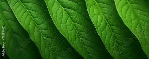 Close-up of green leaves texture in abstract nature background, generated ai