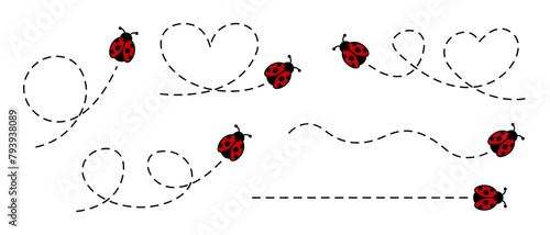 Flying ladybug illustration set. Cartoon ladybug icon. Vector ladybird beetle illustration.