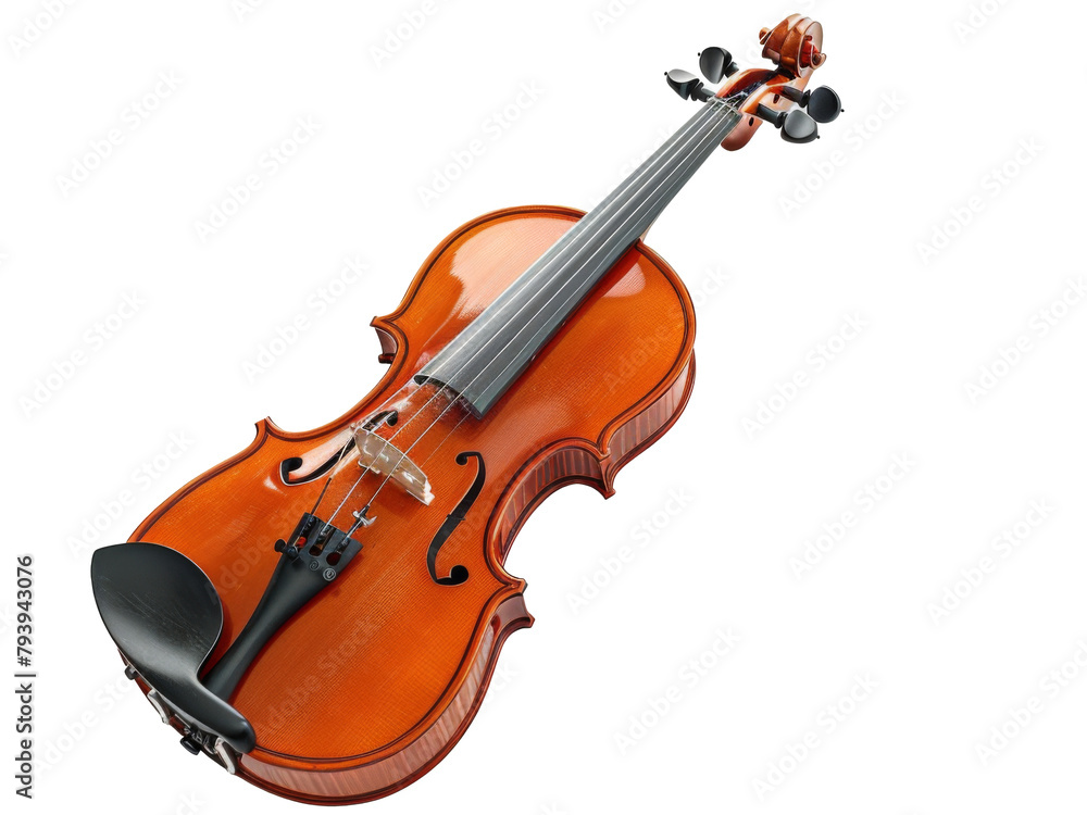 violin isolated on white violin isolated on white