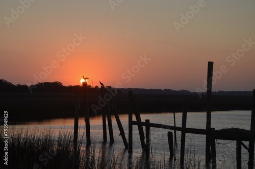 Anhinga Spreading Wings at Sunrise Perched on Broken Pilings