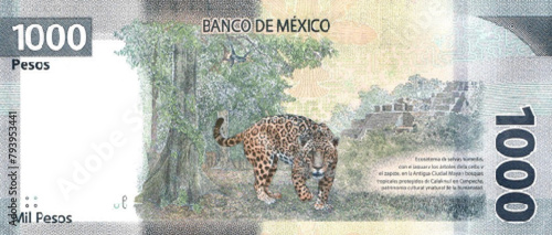 Vector reverse high polygonal pixel mosaic banknote of Mexico. Denominations of bill 1000 pesos. Game money of flyer. Part 2