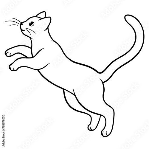 Cat wanting food vector illustration