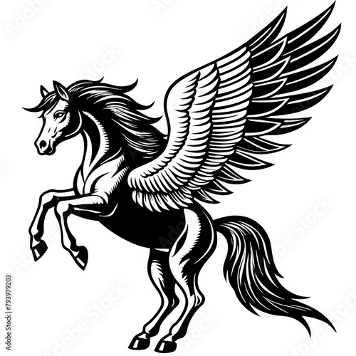 Horse with wings vector illustration