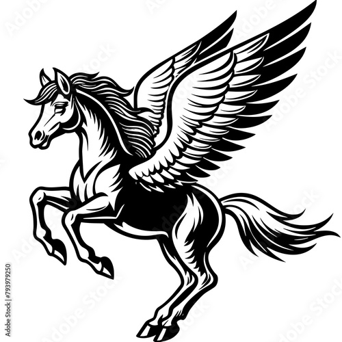 Horse with wings vector illustration