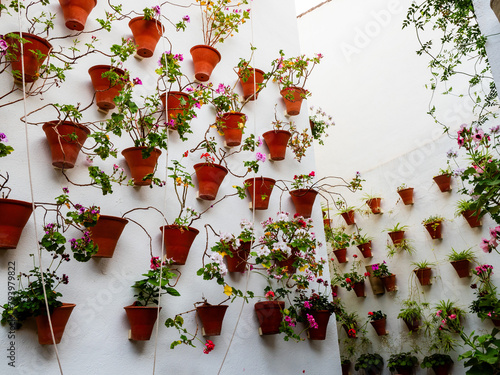 Fotografie pots de fleurs accrochés aux murs d'un patio andalou à Cordoue