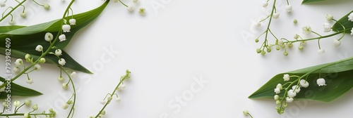 Elegant and minimalistic botanical image featuring a spread of Lily of the Valley flowers and leaves on a pristine white backdrop