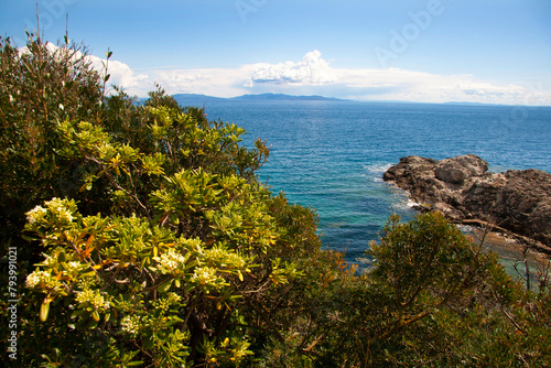 Italia  Toscana  Isola d Elba. Il mare a Capo d Arco.