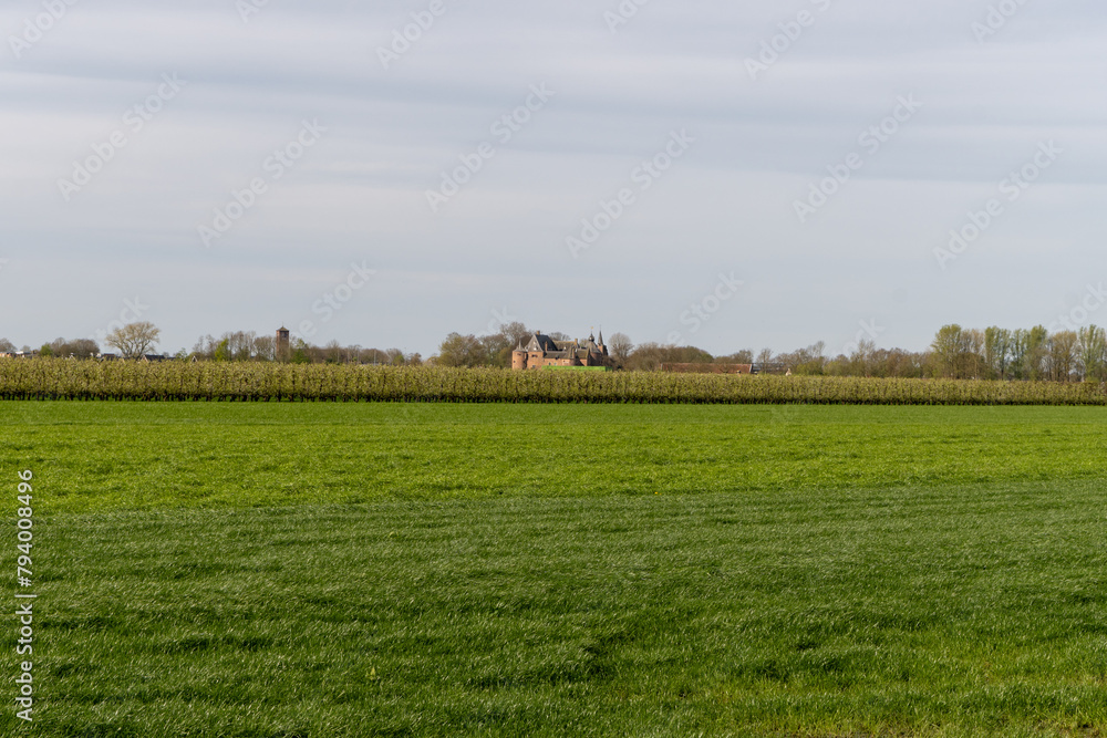 Dutch landscape with castle, apple fruit trees orchards and green grass, spring in Netherlands