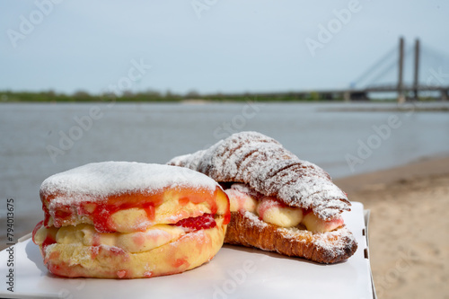 Picnic with fresh baked strawberry cake with cream and fresh fruits and view on Martinus Nijhoff bridge across the Waal river near Zaltbommel in the Netherlands photo