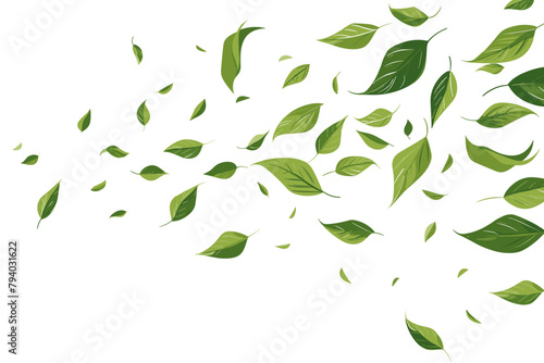 Green flying leaves wave. Organic cosmetic background. Natural herbal tea. Vegan, eco, bio design element. Leaf falling. Summer foliage ornament. Beauty product. Healthy food. Vector illustration
