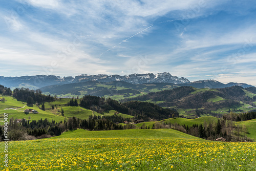 Landscape in the Appenzell Alps, view over a dandelion meadow to the Alpstein mountains with Saentis, Appenzellerland, Canton of Appenzell Innerrhoden, Switzerland photo
