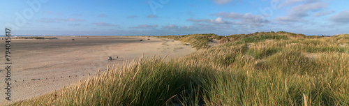 Bild auf Leinwand Panoramic view to the broad sandy beach with sand dunes and marram grass by the