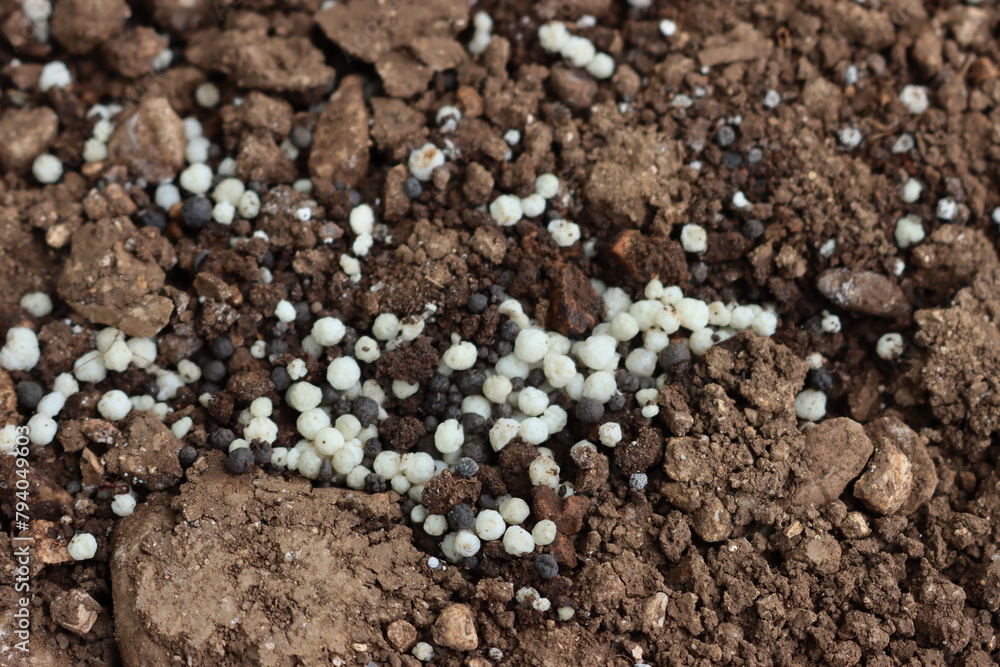 Close-up of white granular fertilizer on a agricultural field on springtime Close-up of white granular fertilizer on a agricultural field on springtime