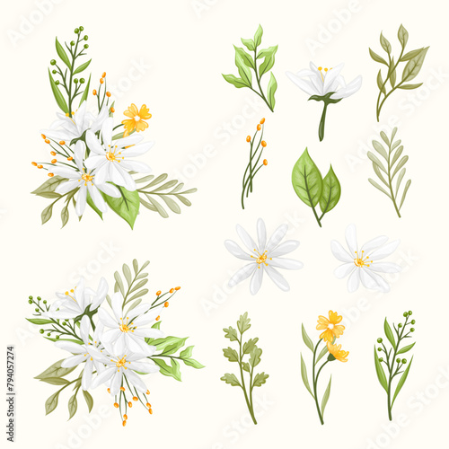 White Flower floral Watercolor Illustration
