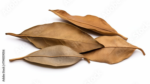 Pure white background with dried bay leaves isolated