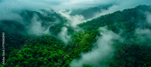 Misty mountain landscape with lush greenery and clouds © Mr. Stocker