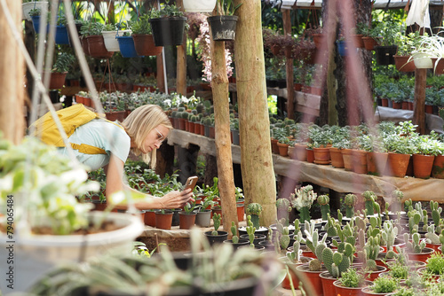 Woman take picture of flowers and cactus in pots for sale at outdoor market.