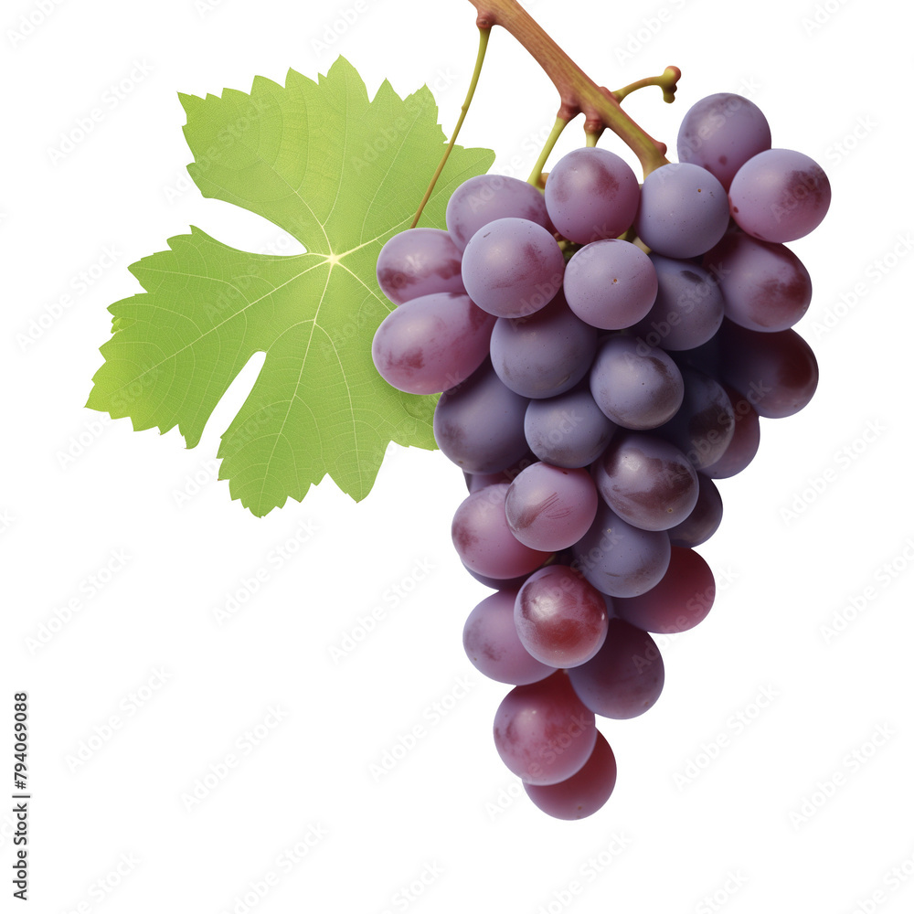 Fototapeta premium Grapes Isolated on Transparent Background 