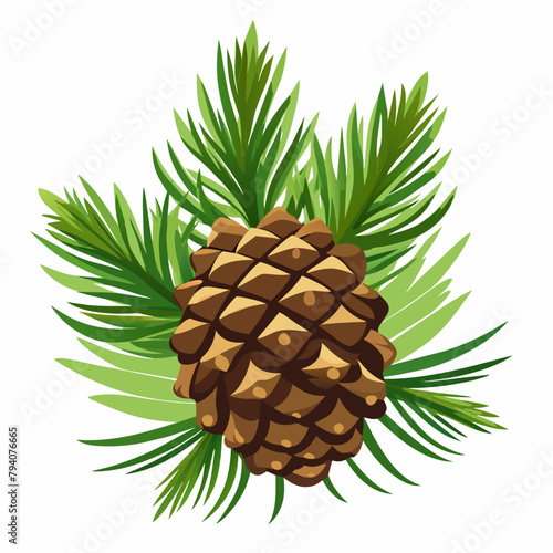 vector illustration of cone pine