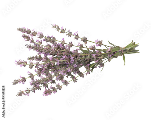 Bunch of lavender on transparent background
