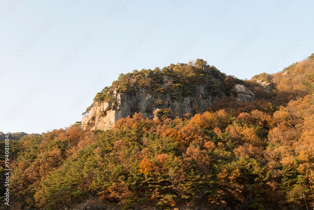 View of the rock on the mountain in autumn