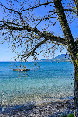 Bevaix, Cortaillod, La Pointe du grain, Neuenburgersee, Seeufer, Uferweg, Kieselstrand, Wassersport, Schifffahrt, Naturschutz, Frühling, Neuenburg, Alpenpanorama, Schweiz