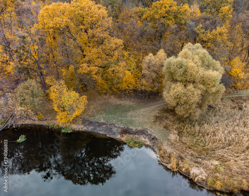 Aerial golden autumn river valley with vibrant forest in rural countryside
